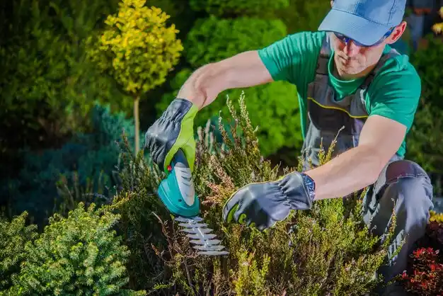 landscaping services Suttons Bay